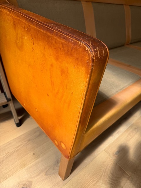 Vachetta - Dark Stain, Cracking, Mold & Discoloration