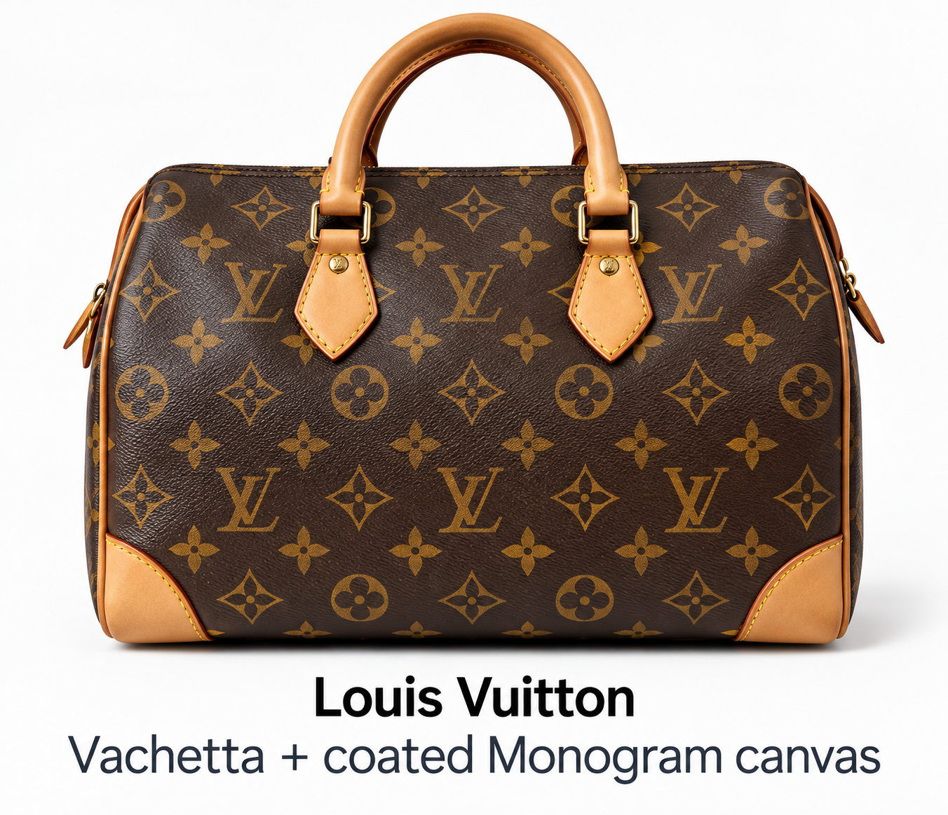 Vachetta plus coated Monogram canvas